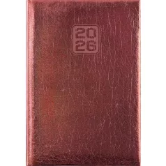   DAYLINER Naptár, tervező, A5, napi, DAYLINER, "Mirror", bronz