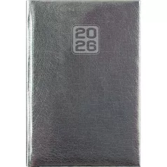   DAYLINER Naptár, tervező, A5, napi, DAYLINER, "Mirror", ezüst