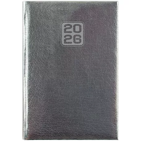 DAYLINER Naptár, tervező, A5, napi, DAYLINER, "Mirror", ezüst