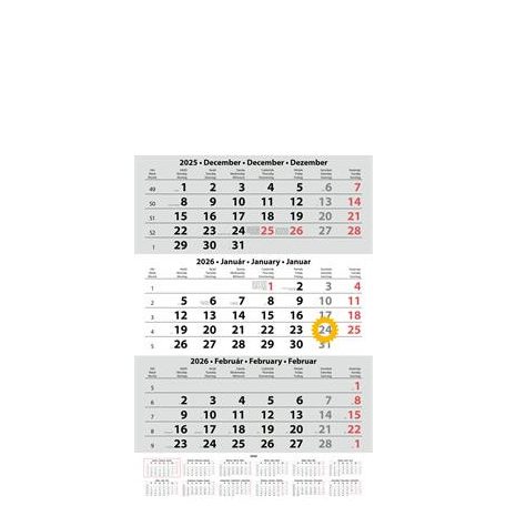 DAYLINER Naptár, speditőr, három hónapos, egy tömbös, üres fejrész, DAYLINER