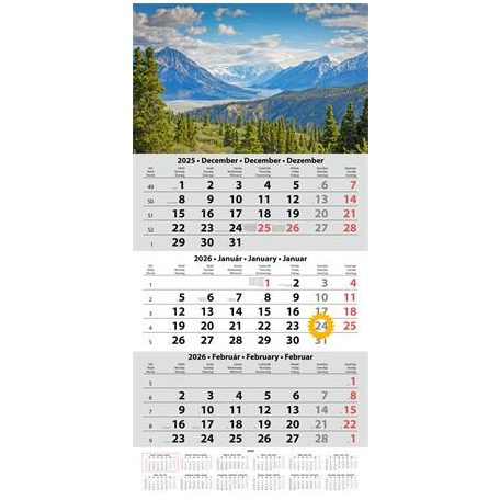 DAYLINER Naptár, speditőr, három hónapos, egy tömbös, DAYLINER