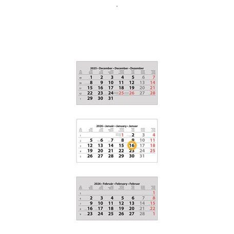 DAYLINER Naptár, speditőr, három hónapos, három tömbös, üres fejrész, DAYLINER