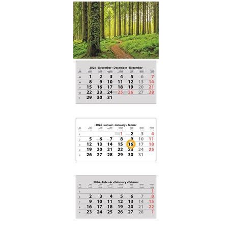 DAYLINER Naptár, speditőr, három hónapos, három tömbös, DAYLINER