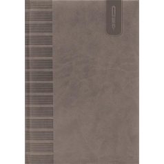   DAYLINER Tárgyalási napló, B5, DAYLINER, "Tucson", szürke