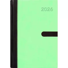   DAYLINER Naptár, tervező, A5, napi, DAYLINER "Winner", menta
