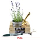 PENTEL Krétamarker, 2-4 mm, megfordítható hegy, PENTEL "SMW26", fehér