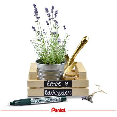 PENTEL Krétamarker, 2-4 mm, megfordítható hegy, PENTEL "SMW26", fehér