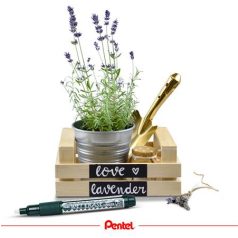   PENTEL Krétamarker, 2-4 mm, megfordítható hegy, PENTEL "SMW26", sárga