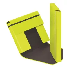   PAGNA Füzetbox, A4, 40 mm, karton, PAGNA "Trend", lime zöld