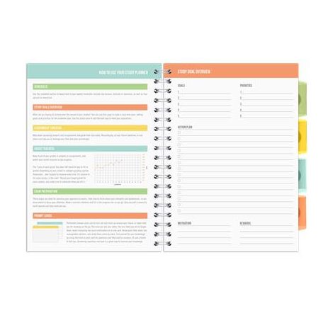 PUKKA PAD Spirálfüzet, B5, PUKKA PAD "Study book", szürke