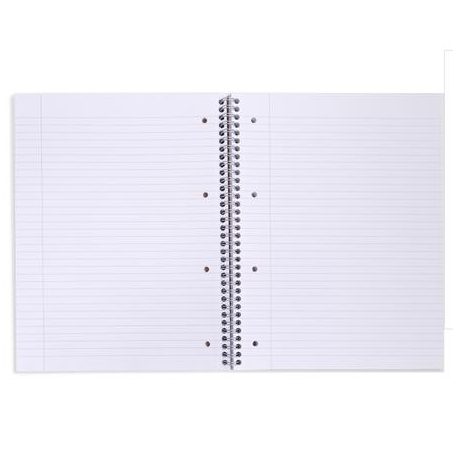 PUKKA PAD Spirálfüzet, A4+, vonalas, 100 lap, PUKKA PAD "Haze Jotta", vegyes szín