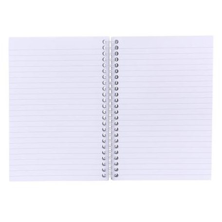 PUKKA PAD Spirálfüzet, A5, vonalas, 100 lap, PUKKA PAD "Haze Jotta", vegyes szín