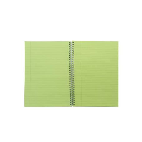 PUKKA PAD Spirálfüzet, A5, vonalas, 100 lap, PUKKA PAD "Irlen Jotta Green"