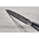 RESTO Általános kés, 13 cm, RESTO "Eridanus 95334"