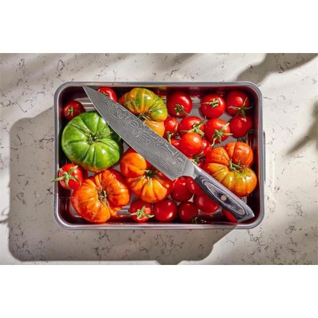 RESTO Szakácskés, 19 cm, RESTO "Ogma 95340"