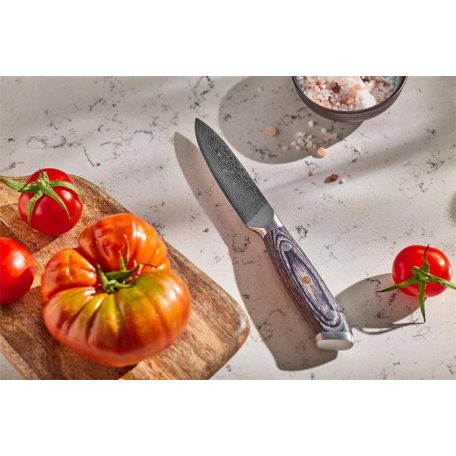 RESTO Hámozókés, 10 cm, RESTO "Ogma 95344"