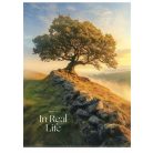 SHKOLYARYK Füzet, tűzött, A4, kockás, 40 lap, SHKOLYARYK "In Real Life", vegyes