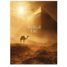 SHKOLYARYK Füzet, tűzött, A4, vonalas, 40 lap, SHKOLYARYK "In Real Life", vegyes