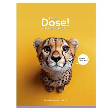 SHKOLYARYK Füzet, tűzött, A5, kockás, 48 lap, SHKOLYARYK "Nice to meet you", vegyes