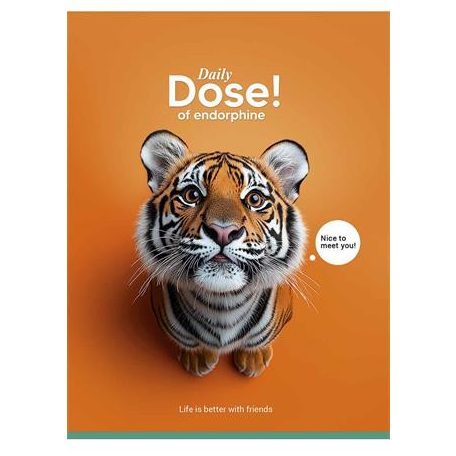 SHKOLYARYK Füzet, tűzött, A5, kockás, 48 lap, SHKOLYARYK "Nice to meet you", vegyes