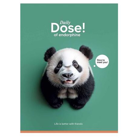 SHKOLYARYK Füzet, tűzött, A5, kockás, 48 lap, SHKOLYARYK "Nice to meet you", vegyes