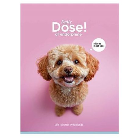 SHKOLYARYK Füzet, tűzött, A5, kockás, 48 lap, SHKOLYARYK "Nice to meet you", vegyes