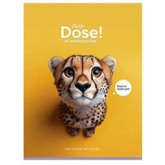   SHKOLYARYK Füzet, tűzött, A5, vonalas, 48 lap, SHKOLYARYK "Nice to meet you", vegyes