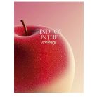 SHKOLYARYK Füzet, tűzött, A5, kockás, 48 lap, SHKOLYARYK "Find Joy", vegyes