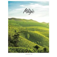   SHKOLYARYK Füzet, tűzött, A5, kockás, 48 lap, SHKOLYARYK "The Magic", vegyes