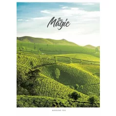   SHKOLYARYK Füzet, tűzött, A5, kockás, 48 lap, SHKOLYARYK "The Magic", vegyes
