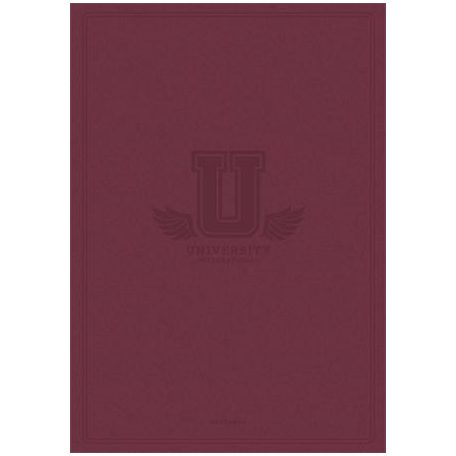 SHKOLYARYK Füzet, tűzött, A4, kockás, 60 lap, SHKOLYARYK "University International", vegyes