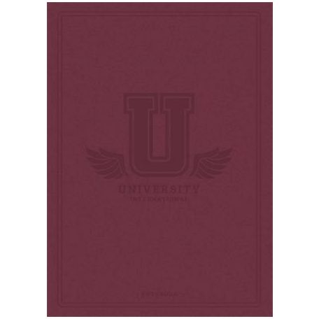 SHKOLYARYK Füzet, tűzött, A5, kockás, 60 lap, SHKOLYARYK "University International", vegyes