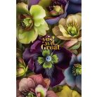 SHKOLYARYK Skiccfüzet, A5, sima, 64 lap, SHKOLYARYK "Yes! We're great!"