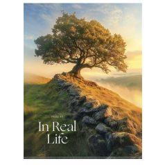   SHKOLYARYK Füzet, tűzött, A5, kockás, 80 lap, SHKOLYARYK "In Real Life", vegyes