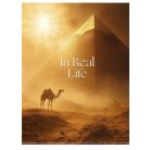 SHKOLYARYK Füzet, tűzött, A5, kockás, 80 lap, SHKOLYARYK "In Real Life", vegyes