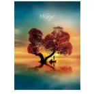 SHKOLYARYK Füzet, tűzött, A4, vonalas, 80 lap, SHKOLYARYK "Colorful Magic", vegyes