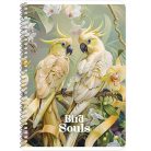 SHKOLYARYK Spirálfüzet, A5, kockás, 80 lap, SHKOLYARYK, vegyes