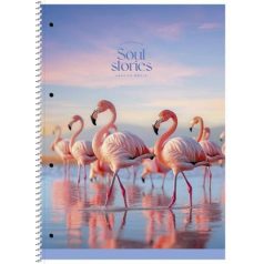   SHKOLYARYK Spirálfüzet, A4+, vonalas, 80 lap, SHKOLYARYK "Soul Stories", vegyes