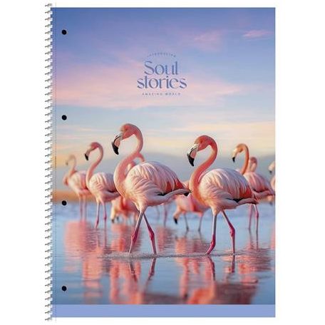 SHKOLYARYK Spirálfüzet, A4+, vonalas, 80 lap, SHKOLYARYK "Soul Stories", vegyes