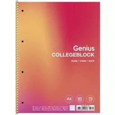   SHKOLYARYK Spirálfüzet, A4+, kockás, 80 lap, SHKOLYARYK "Genius", vegyes