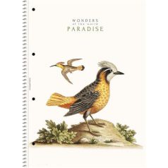   SHKOLYARYK Spirálfüzet, A4, vonalas, 80 lap, SHOLYARYK "College Block Wonders", vegyes