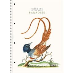   SHKOLYARYK Spirálfüzet, A4, vonalas, 80 lap, SHOLYARYK "College Block Wonders", vegyes