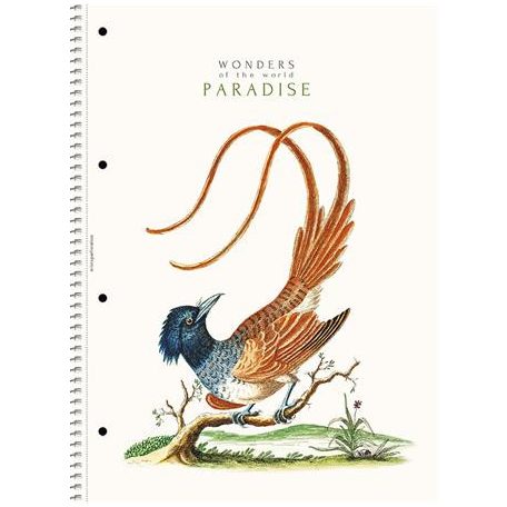 SHKOLYARYK Spirálfüzet, A4, vonalas, 80 lap, SHOLYARYK "College Block Wonders", vegyes