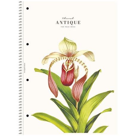 SHKOLYARYK Spirálfüzet, A4, vonalas, 80 lap, SHOLYARYK "College Block Wonders", vegyes