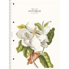 SHKOLYARYK Spirálfüzet, A4, vonalas, 80 lap, SHOLYARYK "College Block Wonders", vegyes