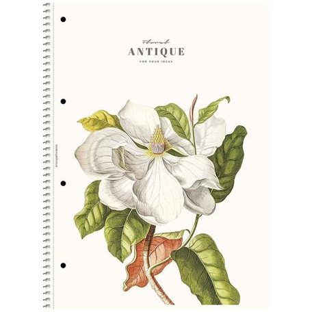 SHKOLYARYK Spirálfüzet, A4, vonalas, 80 lap, SHOLYARYK "College Block Wonders", vegyes