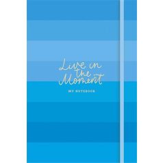   SHKOLYARYK Jegyzetfüzet, A5, vonalas, sima, pontrácsos, 96 lap, keményfedeles, SHKOLYARYK "Live in the moment", vegyes minta