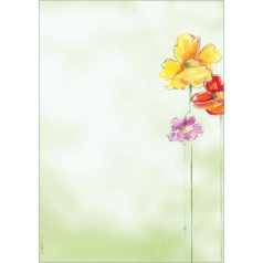   SIGEL Előnyomott papír, A4, 90g, SIGEL "Spring Flowers"