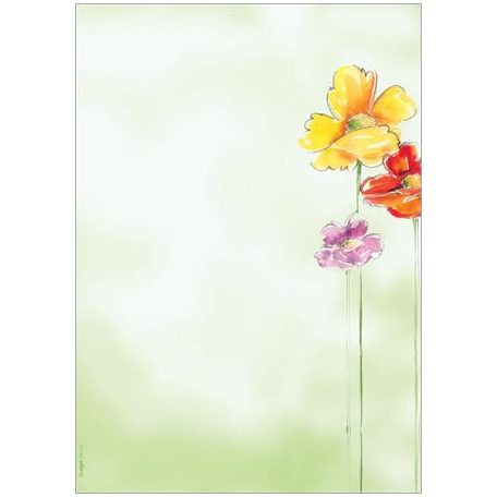 SIGEL Előnyomott papír, A4, 90g, SIGEL "Spring Flowers"