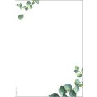 SIGEL Előnyomott papír, kétoldalas, A5, 90 g. SIGEL "Eucalyptus"